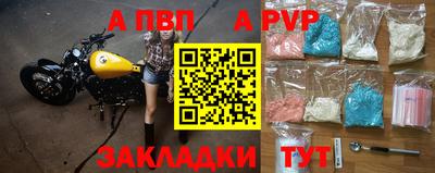 эйфоретик Гудермес