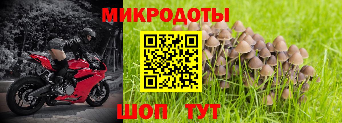 Вичуга  Псилоцибиновые грибы прущие грибы  наркошоп  Вход с VPN 